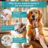 Dog & Cat Pregnancy Test Kit at Home,Dog Urine Test - Urine-Based, 98.8% Accurate, 10-Minute Results, Painless(1 PCS) view 3