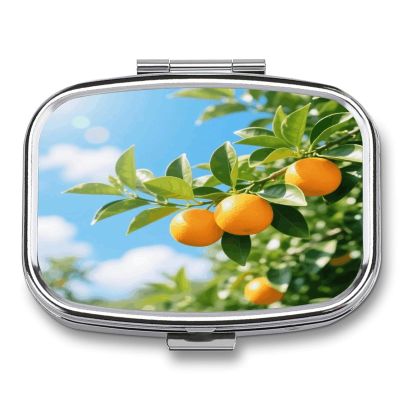 Citrus Orange Pill Case Portable Square Pill Organizer Metal Vitamin Medicine Case Daily Travel Pill Box with 2 Compartments for Vitamins Fish Oils Supplements