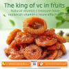Dried Cili Fruit Preserve, Natural & Additive-Free, High in Vitamin C, Sun-Dried, 100g x 2 Packs, Sourced from Guizhou China (Hometown of Cili Fruit) view 2