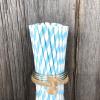 100 Biodegradable Paper Straws in Light Blue & White Stripes, 7.75 Inches for Events view 3