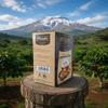 Africafe Premium Instant Cappuccino Mix | Frothy & Creamy Tanzanian Coffee Pre-Mix | All-in-One Espresso, Creamer & Sugar Sachets | Halal Certified | 2-Pack Value Box (24 Sachets, 600g Total) view 2