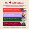 ByEla Creatine for Women Over 40 - All-in-One 5g Creatine Monohydrate, Ashwagandha, D3 K2, Citicoline, L-Theanine, B Vitamins for Muscle Bone Brain Energy, Perimenopause Menopause Support (30 Serv) view 4