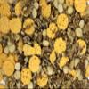 Keto Snack Mix with Low Carb Nuts and Cheese Crisps Savory Snack with Nuts and Cheese for Keto Diet, 14 Ounce view 4