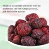 200g Dried Bayberry,Chinese Special Casual Snack,Combination of Sweet and Sour Flavor, Bayberr, view 4