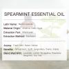 MUNUSNA Spearmint Essential Oil 100ML, 100% Pure Spearmint Oil Aromatherapy Oil for Diffuser, Skin Hair Care, Massage, Yoga, Home, Soap and Candle Making view 3