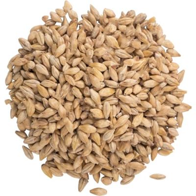 TAPCRAFT Acidulated Malt (Sour Malt) 1 lb - pH Control Grain for Brewing & Distilling Improves Mash Efficiency & Adds Light Tartness