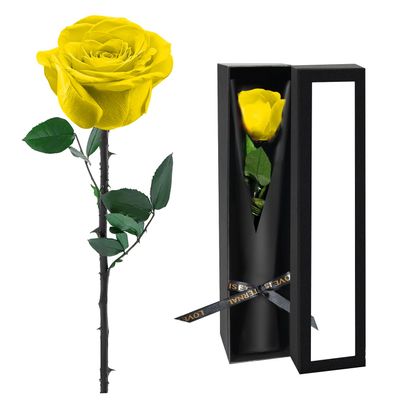 Preserved Flowers for Delivery,Yellow Rose Bouquets That Last 5 Years,Birthday Flowers Gifts for Women Mom Grandma Wife Friends,Mothers Day Gift,Romantic Floral for Anniversary or Valentines Day