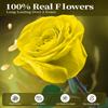Preserved Flowers for Delivery,Yellow Rose Bouquets That Last 5 Years,Birthday Flowers Gifts for Women Mom Grandma Wife Friends,Mothers Day Gift,Romantic Floral for Anniversary or Valentines Day view 2