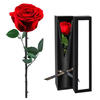 Preserved Flowers for Delivery,Red Rose Bouquets That Last 5 Years,Birthday Flowers Gifts for Women Mom Grandma Wife Friends,Mothers Day Roses Gift,Romantic Floral for Anniversary or Valentines Day