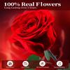 Preserved Flowers for Delivery,Red Rose Bouquets That Last 5 Years,Birthday Flowers Gifts for Women Mom Grandma Wife Friends,Mothers Day Roses Gift,Romantic Floral for Anniversary or Valentines Day view 2