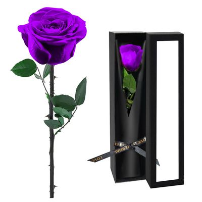 Preserved Flowers for Delivery,Purple Rose Bouquets That Last 5 Years,Birthday Flowers Gifts for Women Mom Grandma Wife Friends,Mothers Day Gift,Romantic Floral for Anniversary or Valentines Day