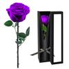 Preserved Flowers for Delivery,Purple Rose Bouquets That Last 5 Years,Birthday Flowers Gifts for Women Mom Grandma Wife Friends,Mothers Day Gift,Romantic Floral for Anniversary or Valentines Day view 1