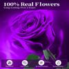 Preserved Flowers for Delivery,Purple Rose Bouquets That Last 5 Years,Birthday Flowers Gifts for Women Mom Grandma Wife Friends,Mothers Day Gift,Romantic Floral for Anniversary or Valentines Day view 2