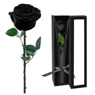 Preserved Flowers for Delivery,Black Rose Bouquets That Last 5 Years,Birthday Flowers Gifts for Women Mom Grandma Wife Friends,Mothers Day Roses Gift,Romantic Floral for Anniversary or Valentines Day