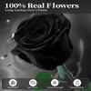 Preserved Flowers for Delivery,Black Rose Bouquets That Last 5 Years,Birthday Flowers Gifts for Women Mom Grandma Wife Friends,Mothers Day Roses Gift,Romantic Floral for Anniversary or Valentines Day view 2
