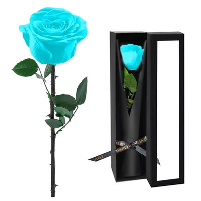 Preserved Flowers for Delivery,Light Blue Rose Bouquets That Last 5 Years,Birthday Flowers Gifts for Women Mom Grandma Wife Friends,Mothers Day Gift,Romantic Floral for Anniversary or Valentines Day