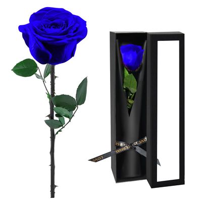 Preserved Flowers for Delivery,Blue Rose Bouquets That Last 5 Years,Birthday Flowers Gifts for Women Mom Grandma Wife Friends,Mothers Day Roses Gift,Romantic Floral for Anniversary or Valentines Day