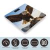 Fierce Eagle and National Flag Scale for Body Weight Accurate Digital Bathroom Scale with High-Precision Sensors Large LCD Display Digital Weighing Machine for People 400lb Capacity view 3