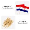 JBSJBS Croatia Flag Croatia Cupcake Topper Flags Banner Mini Small Croatian Toothpick Stick Flags Cake Party Festival Theme Decorations(100Pcs) view 3