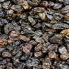 Jumbo Thompson Black Raisins Oil-Treated, Sun Dried Seedless Grapes, Large & Plump, Sweet Snack for Baking, Cooking & Trail Mix (1 Pound) view 1