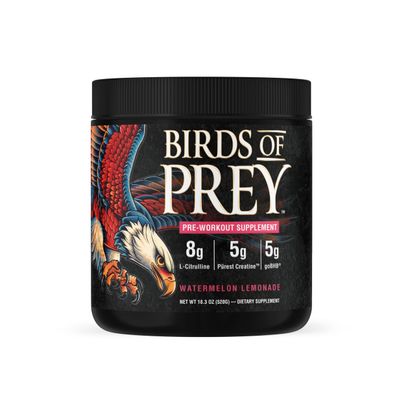 Birds of Prey goBHB Caffeine-Free Pre-Workout Powder - Smart Energy, Supports Blood Flow, Endurance & Mental Clarity | Natural Performance Support | 20 Servings (Watermelon Lemonade)