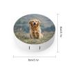 BTCOWZRV Golden Retriever Dog Contact Lens Case with Mirror, Portable Contact Lens Box with Solution Bottle, Glasses Travel Holder with Tweezers, Contact Case Storage for Women Men view 2