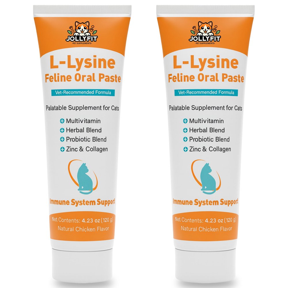 (2 Pack) L-Lysine for Cats Oral Paste Immune & Respiratory Support for Felines with Collagen, Zinc, Multivitamins & Probiotics Natural Chicken Flavor, 4.23 oz (120g) (2)