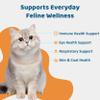 (2 Pack) L-Lysine for Cats Oral Paste Immune & Respiratory Support for Felines with Collagen, Zinc, Multivitamins & Probiotics Natural Chicken Flavor, 4.23 oz (120g) (2) view 2