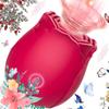 2026 New Enhanced Version Rose for Women, Roses Toy Viboators Toys Vibrateirs Portable Viboators 10 Speed XJH-Red3203 view 1