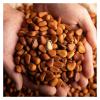 108g Bag Of Open-face Pine Nuts, Large Kernels, Original Flavor, Roasted Nuts, Everyday Snack(4bag) view 4