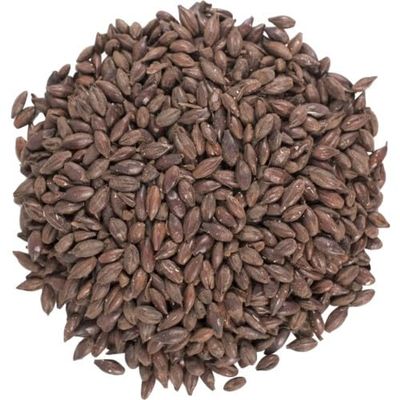 TAPCRAFT Black Barley 500L Black Roasted Barley Grain for Brewing & Distilling Deep Color & Bold Roast Flavor 1 lb
