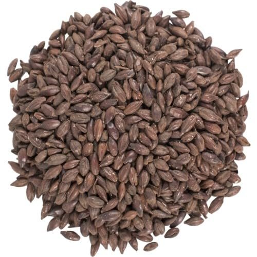 TAPCRAFT Black Barley 500L Black Roasted Barley Grain for Brewing & Distilling Deep Color & Bold Roast Flavor 1 lb