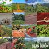Bean Box Coffee Sampler - Curator's Choice, 4-Pack, Freshly Ground, Gourmet Coffee view 3
