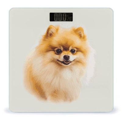 Yellow Pomeranian Scale for Body Weight Safe Rounded Corners Tempered Glass Digital Bathroom Scale LED Display 400lb Capacity Weight Scales with High Precision Sensors