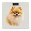 Yellow Pomeranian Scale for Body Weight Safe Rounded Corners Tempered Glass Digital Bathroom Scale LED Display 400lb Capacity Weight Scales with High Precision Sensors view 1