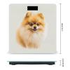 Yellow Pomeranian Scale for Body Weight Safe Rounded Corners Tempered Glass Digital Bathroom Scale LED Display 400lb Capacity Weight Scales with High Precision Sensors view 2