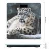 Snow Leopard Scale for Body Weight Safe Rounded Corners Tempered Glass Digital Bathroom Scale LED Display 400lb Capacity Weight Scales with High Precision Sensors view 2