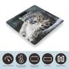 Snow Leopard Scale for Body Weight Safe Rounded Corners Tempered Glass Digital Bathroom Scale LED Display 400lb Capacity Weight Scales with High Precision Sensors view 3