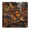Monarch Butterflies Scale for Body Weight Safe Rounded Corners Tempered Glass Digital Bathroom Scale LED Display 400lb Capacity Weight Scales with High Precision Sensors view 1