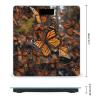 Monarch Butterflies Scale for Body Weight Safe Rounded Corners Tempered Glass Digital Bathroom Scale LED Display 400lb Capacity Weight Scales with High Precision Sensors view 2