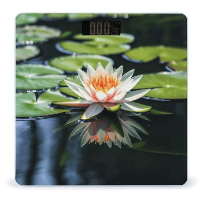Water Lily Scale for Body Weight Safe Rounded Corners Tempered Glass Digital Bathroom Scale LED Display 400lb Capacity Weight Scales with High Precision Sensors