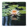 Water Lily Scale for Body Weight Safe Rounded Corners Tempered Glass Digital Bathroom Scale LED Display 400lb Capacity Weight Scales with High Precision Sensors view 1