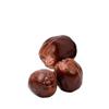 Dried Egyptian Doum Fruit (Whole), 1.1 lb (500g) - Natural Herbal Botanical, Caffeine-Free & Non-GMO - view 3