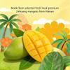 Dried Mango Slices - Soft & Juicy, Low Sugar, Naturally Ripened Hainan Jinhuang Mango | Gluten Free, 258g (8.9oz), 100% Natural, No Additives, Source of Vitamin C & Fiber view 3