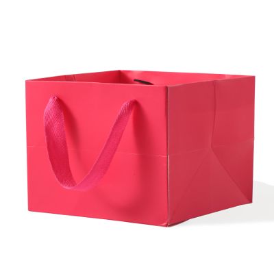 LFCXHTY Hot Pink Gift Bags 4.7 IN Square Gift Bags Square Paper Bag with Handles for Party Favor (Magenta, 4.7 x 4.7 x 4.7 in, 10 CT)