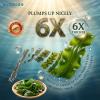 Premium Kombu, 7.05oz Dried Kelp from Hokkaido Japan, No Additives Sun-Dried Seaweed, for Japanese cuisine Seaweed Salad Dashi Stock Miso Soup Rice Seasoning. view 4