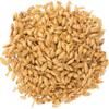 Tapcraft - Cherrywood Smoked Malt 1 lb Premium Smoked Barley Malt for Brewing & Distilling Adds Sweet, Fruity Smoke Flavor to Beer & Whiskey Mash view 1