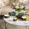 Osmology Green Bamboo Aromatherapy Candle Patchouli, Sandalwood & Cypress Scented Candle, Plant-Based Wax, 15.8 oz, 60 Hour Burn Time, Fresh & Grounding Candle view 2