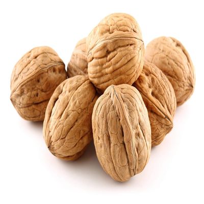 50 Lbs Bulk Premium Natural Walnuts in Shell, Walnuts in Shell, Jumbo, Fresh, Buttery Taste, Easy to Crack, California, Natural Shells, Kosher, in Huge Bag