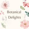Oregon Grape Root & Karanja Salve with Calendula, Chickweed, Plantain and Yarrow - Soothes Conditions Such as Eczema and Psoriasis. Designed to Calm and Restore Your skin's Natural biome Balance. view 2